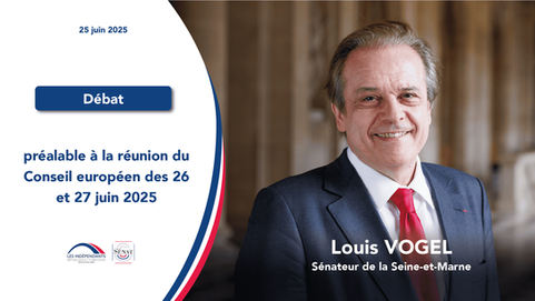 Louis Vogel : Débat préalable à la réunion du Conseil européen