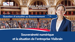 Vanina Paoli-Gagin - QAG : situation de Visibrain