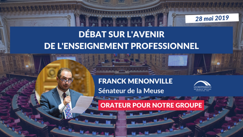 Franck MENONVILLE : Débat sur l'avenir de l'enseignement professionnel