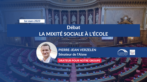 Pierre-Jean VERZELEN : Débat sur la mixité sociale à l'école