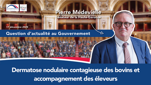 QAG - Pierre Médevielle - la dermatose nodulaire contagieuse des bovins (DNC) et l’accompagnement des éleveurs.