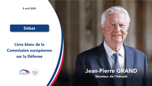 Jean-Pierre Grand : Livre blanc de la Commission européenne sur la Défense