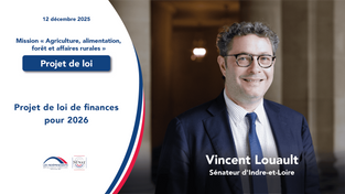 Vincent Louault - Projet de loi de finances pour 2026 - Mission Agriculture, alimentation, forêt et affaires rurales 