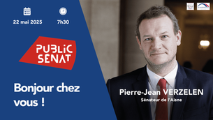 Voile : « J'y vois un instrument de domination de l’homme sur la femme » - Pierre-Jean Verzelen sur Public Sénat