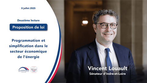 Vincent Louault : Programmation et simplification dans le secteur économique de l'énergie