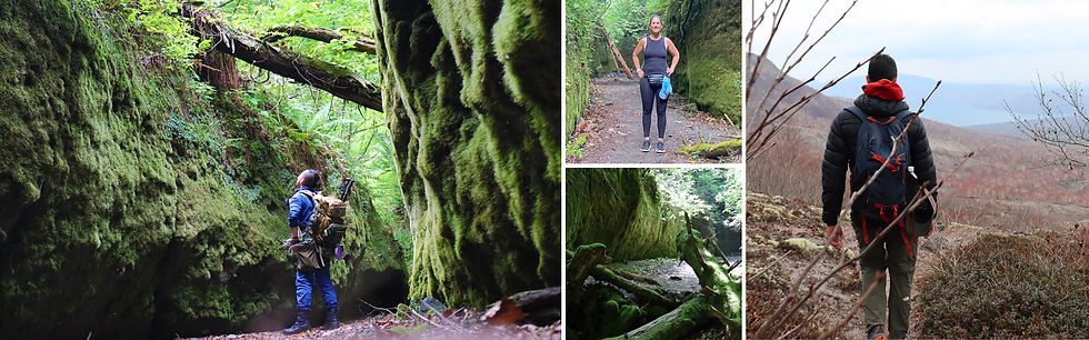 Tarumae Emerald Moss Trail, Advanced This adventure tour moves from mossy forest to volcanic terrain, ending with one of the
