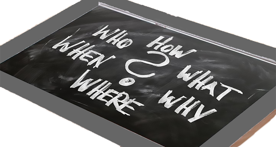 Business Questions