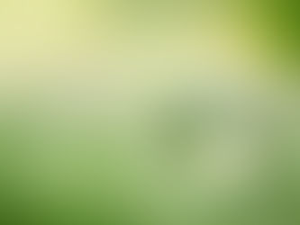 Une bulle d'eau sur un tapis d'herbe