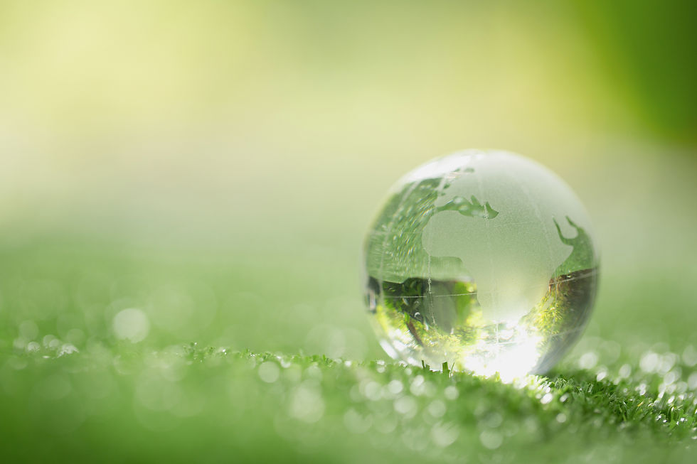 Bulle d'eau dans la verdure