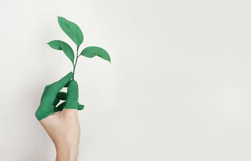 Le Management Environnemental : Applications et Implications en Entreprise