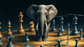 The Elephant in the Air Space