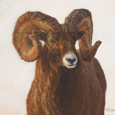 Sunrise Ram