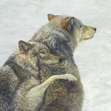 Family Ties Two Wolves