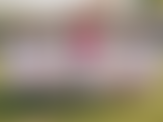 Wilmington High School 2025 Fall Sports Recap