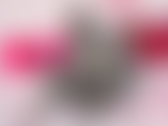 February 2026 Pet Adoption Highlight