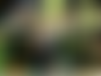 WC President Notes 2025 Progress Highlighted by ‘Purpose Can’t Wait’