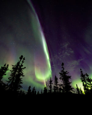 Aurora Purple Whip.jpg