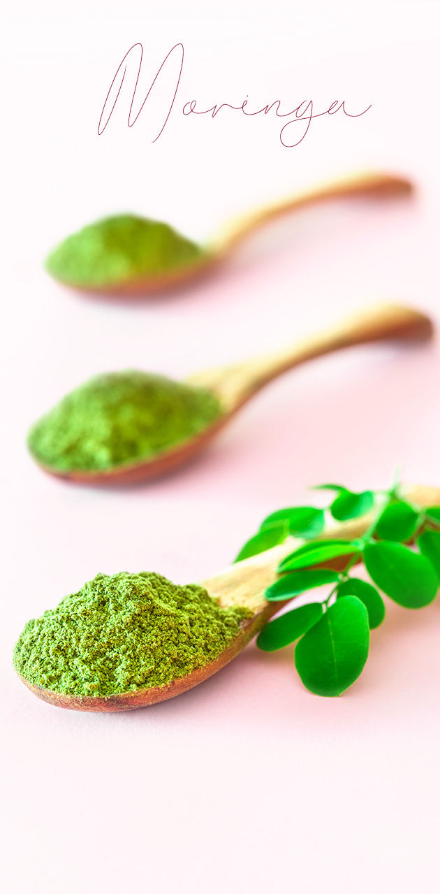 Unlock the Benefits of Moringa: Top Health Tips