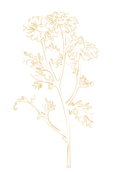 Blume5_Gelb.png