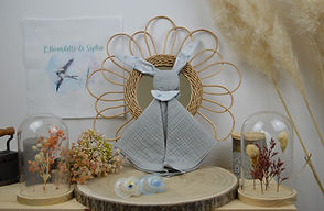 Lapin Lange gris 648.jpg
