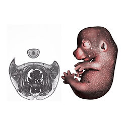 Untitled design (15).jpg