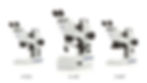 Zeiss Stereo Microscope Models of Stands