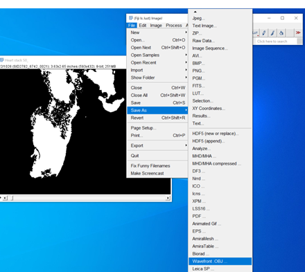 Mouse Heart HREM Export OBJ