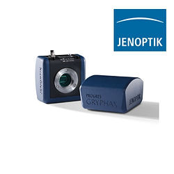 Untitled design (11).jpg