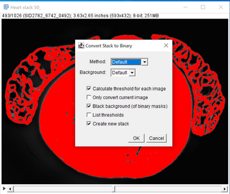 Mouse Heart in Fiji HREM Binary