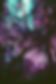 Purple Forest.jpg