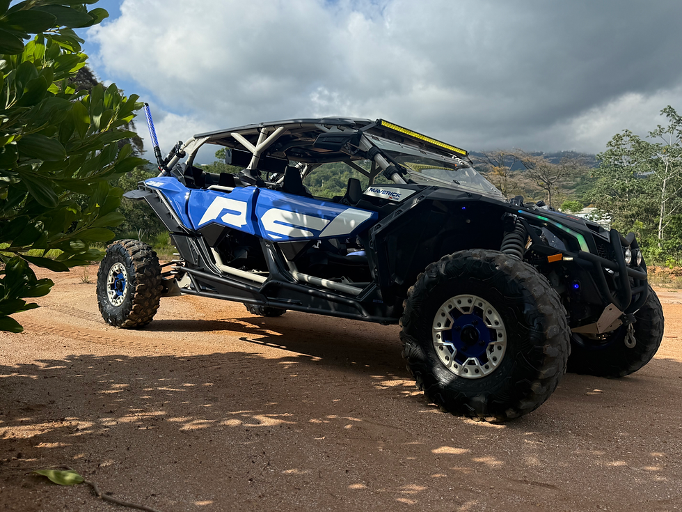 Miniatura: 2023 Polaris RZR
