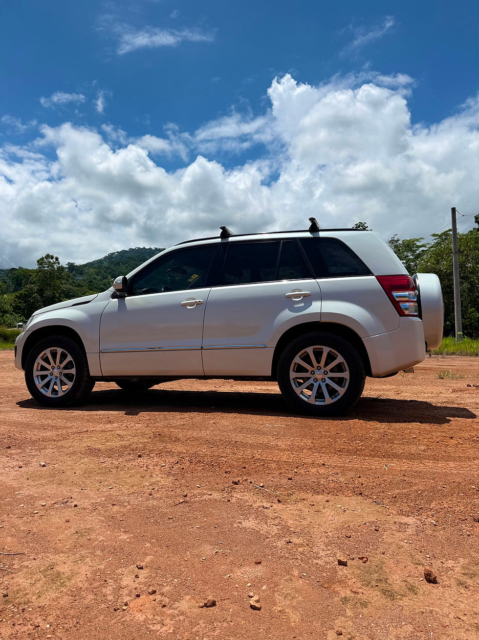 Miniatura: 2017 Suzuki Grand Vitara Limited 