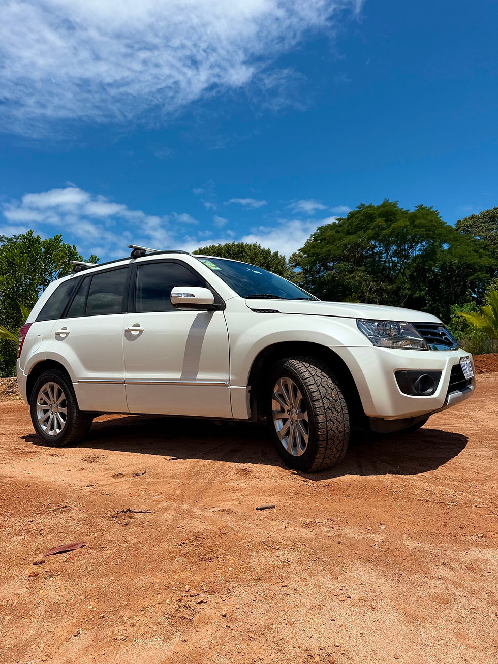 Miniatura: 2017 Suzuki Grand Vitara Limited 