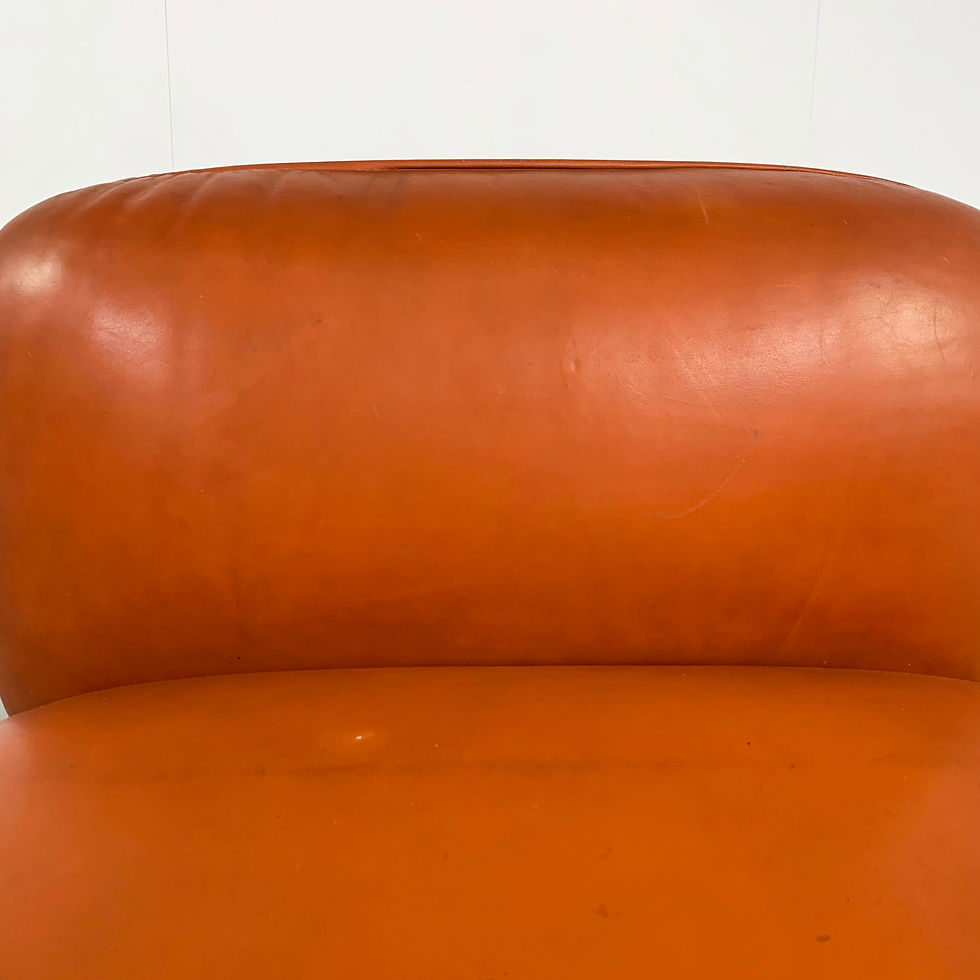 Thumbnail: Diega Lounge Chair by Gastone Rinaldi for Rima, 1970s - SOLD