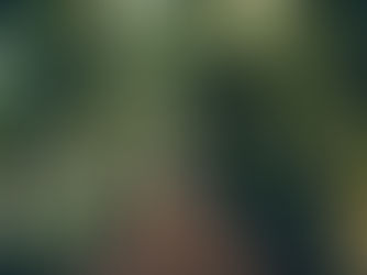 Systemisches Vocal Coaching