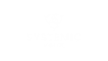Update SYSTEMIC voice-03.png