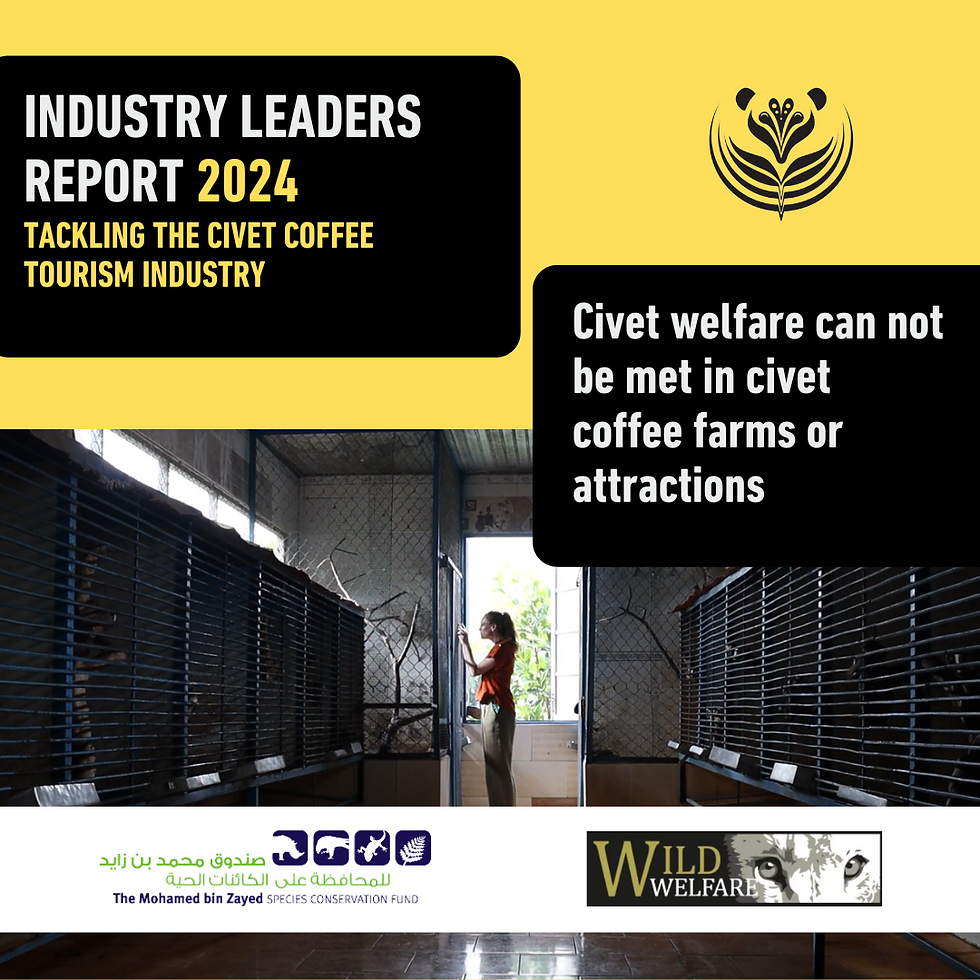 Founder of the Civet Project takes photographic evidence of the poor conditions endured by civets in a civet coffee tourist attraction