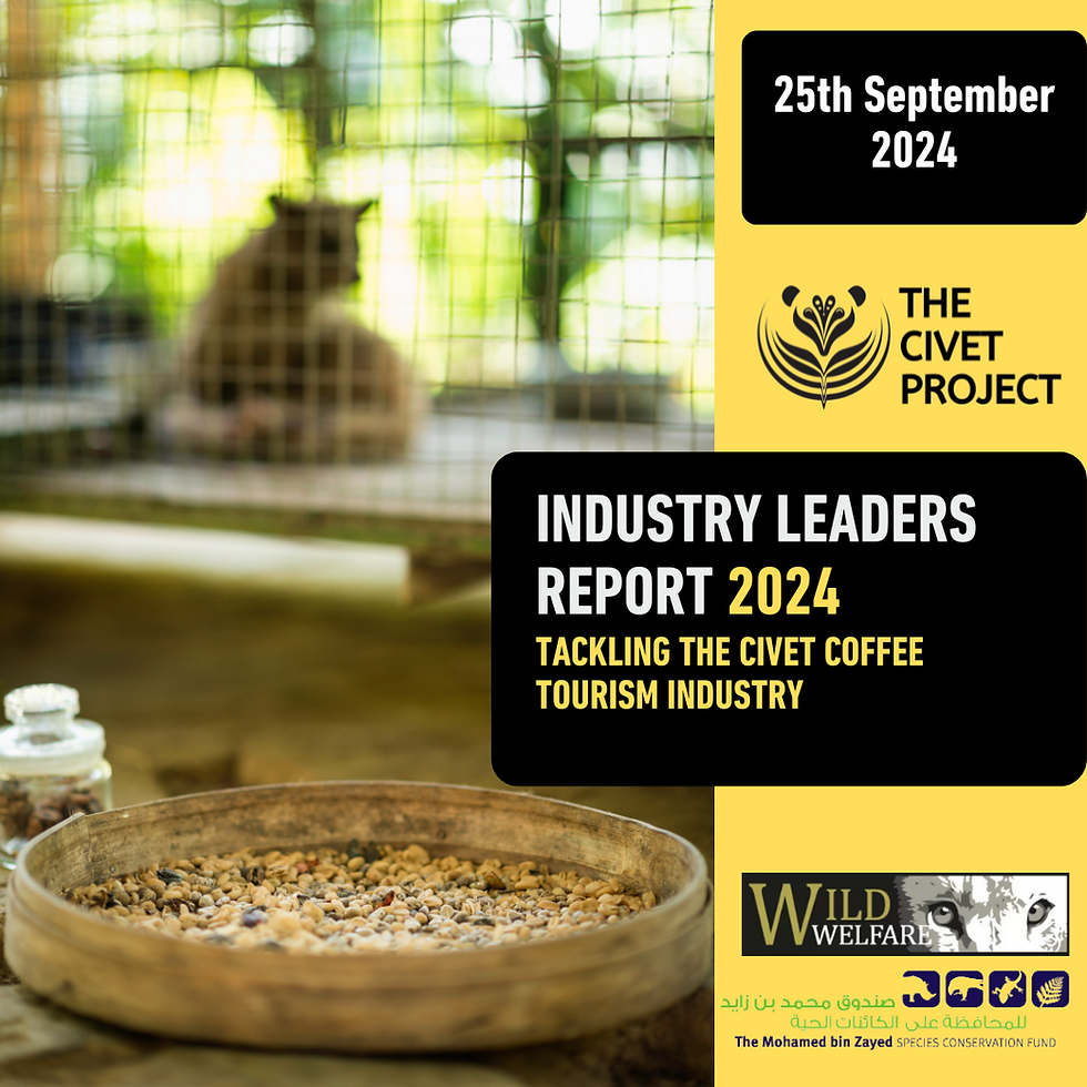 Front cover image of the report, showing civet coffee and a caged civet