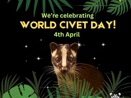 Celebrating Civets: The First Ever 'World Civet Day!'