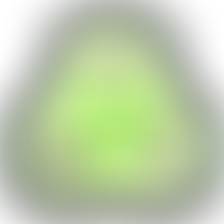 The Civet Project Foundation is recruiting for a Vietnamese Project Officer, skilled in research and communication to assist with the development of the Civet One Health program.