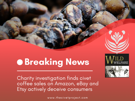 New Report! Consumers and civets at risk from widespread online civet coffee fraud.