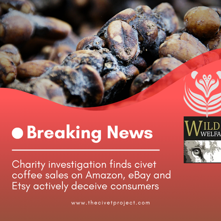 New Report! Consumers and civets at risk from widespread online civet coffee fraud.