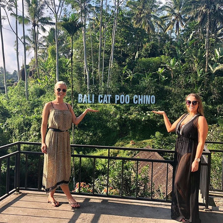 Holidaymakers urged to say no to cat-poo-chino