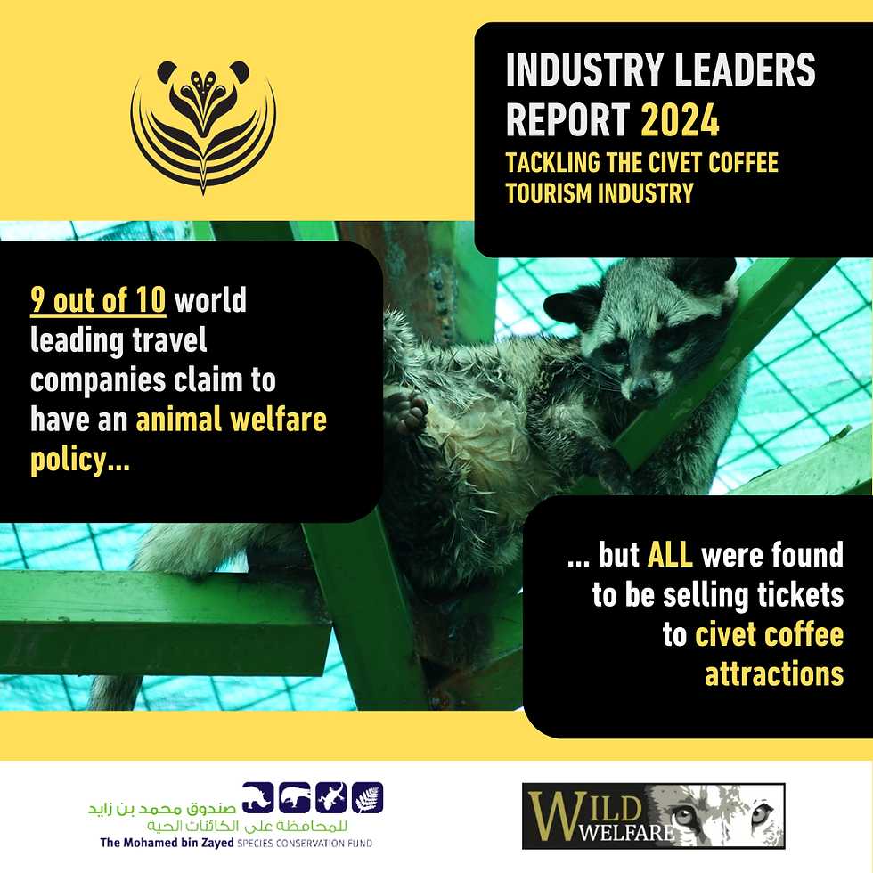 All surveyed travel providers were selling tickets to civet coffee attractions despite these attractions being in violation of pre-existing animal welfare policies