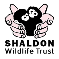 Untitled design (2).png