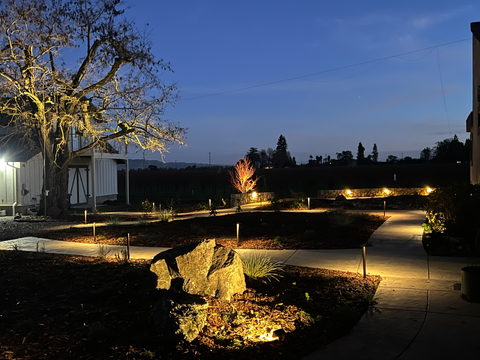 low voltage lights around pathway