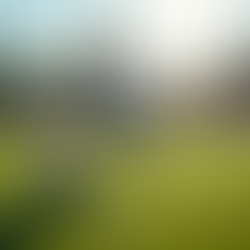 Explore Football Academy in Iskandar Puteri