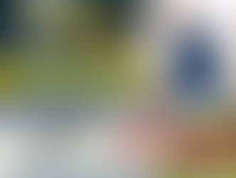 Introduction to new season's inclusive kids programme