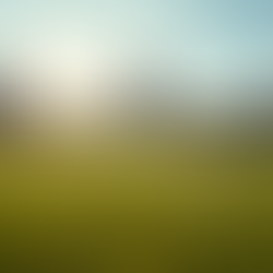 Why Choose Emzee Football Club in Johor?