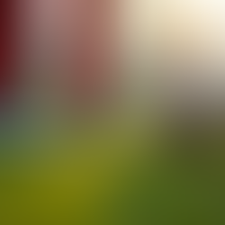 THE POWER OF SCANNING IN FOOTBALL: WHY YOUR DECISIONS DEPEND ON WHAT YOU SEE